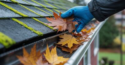 Gloved hands clearing wet maple leaves from the gutter of a Pacific Northwest home in autumn